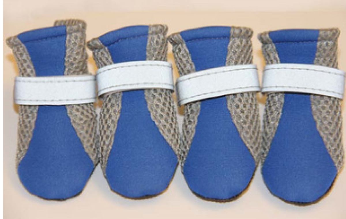 New Pet Shoes Dog Shoes Walking Running Shoes GlamzLife
