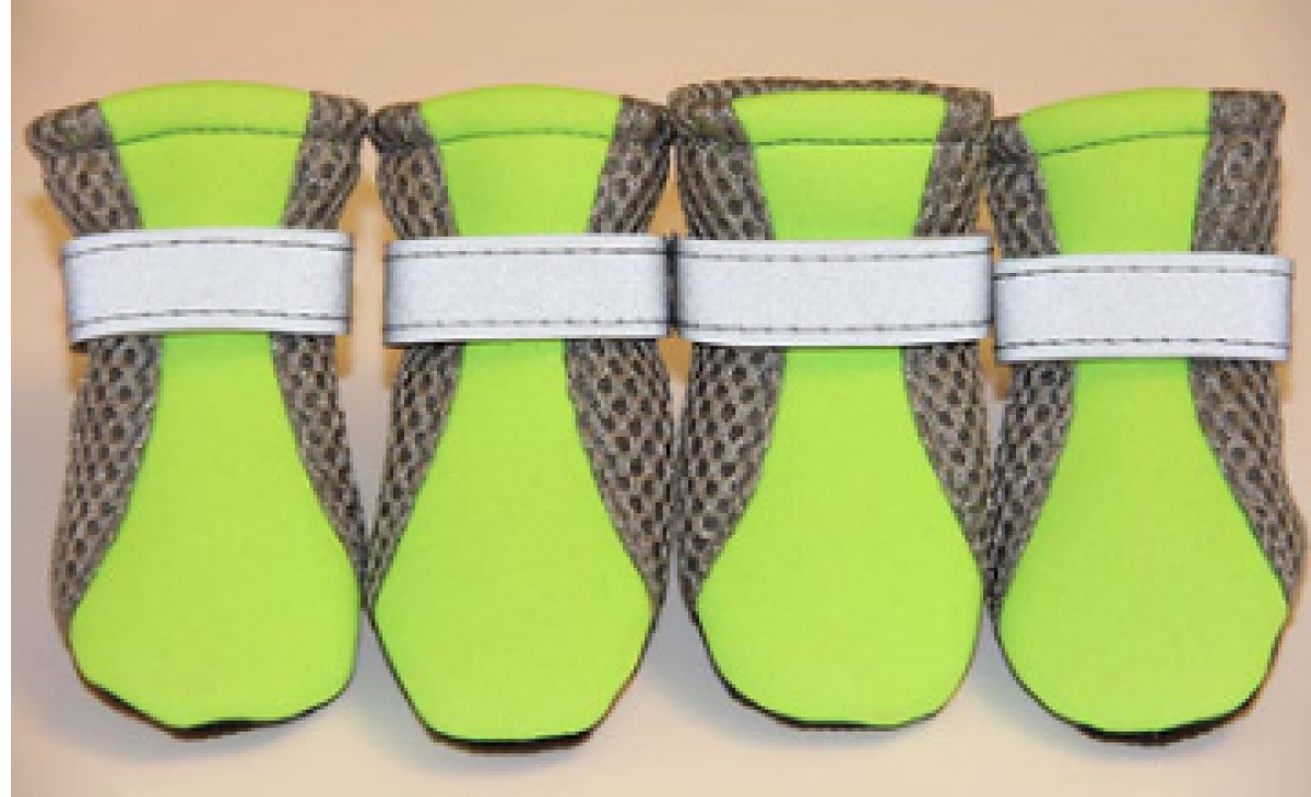 New Pet Shoes Dog Shoes Walking Running Shoes GlamzLife