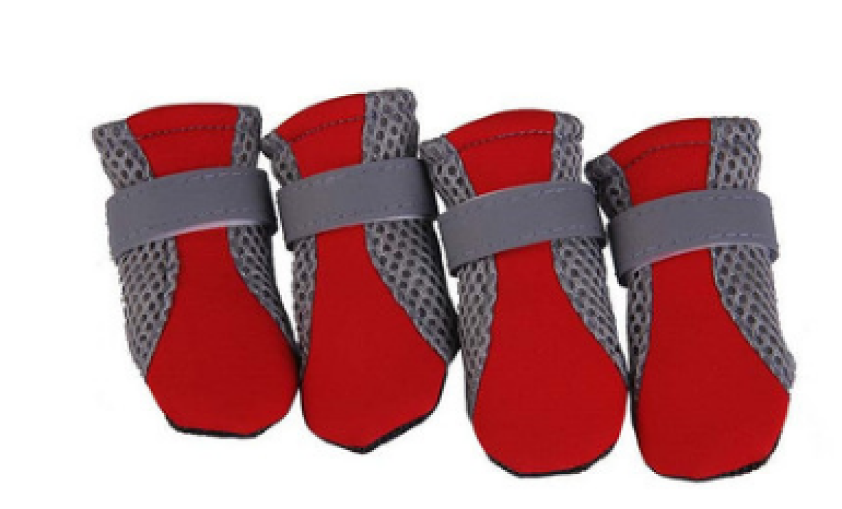 New Pet Shoes Dog Shoes Walking Running Shoes GlamzLife