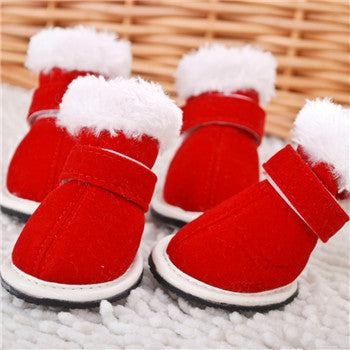 Pet shoes GlamzLife