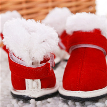 Pet shoes GlamzLife