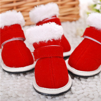 Pet shoes GlamzLife