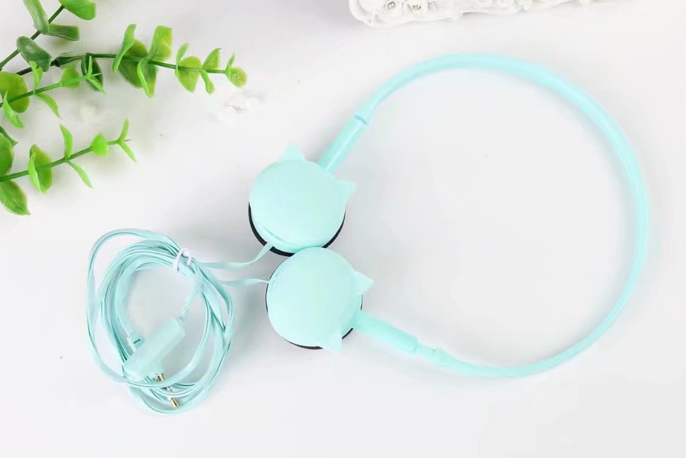 Plug Kitten Wearing Style Headphones | GlamzLife