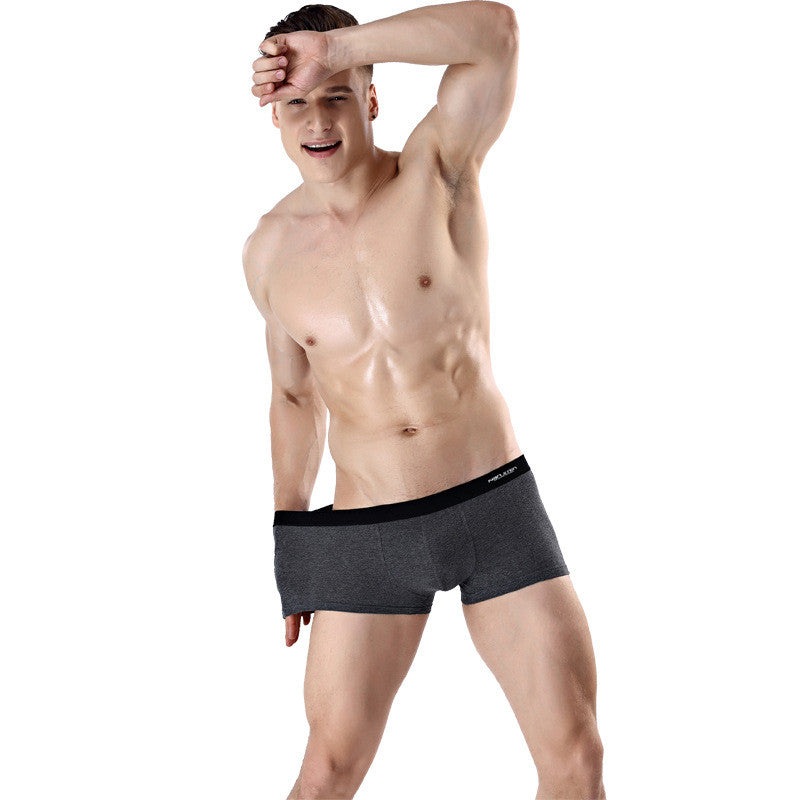 Printed Antarctic Men's Underwear GlamzLife