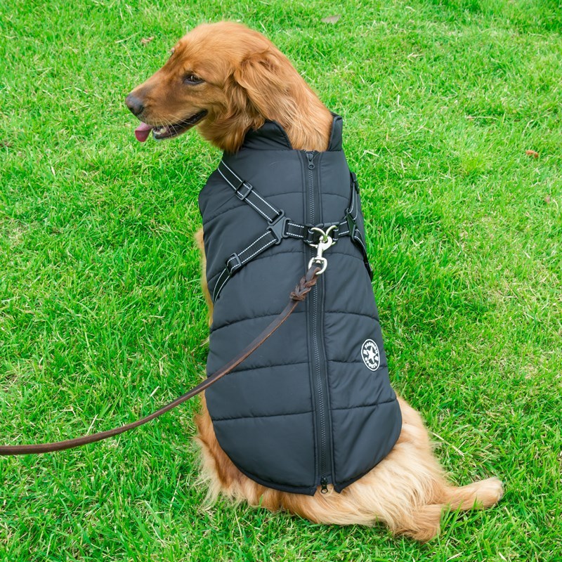 Dog Cotton Vest with Integrated Chest and Back Coverage for Winter. - GlamzLife