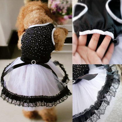 Cute Dress for pets - GlamzLife