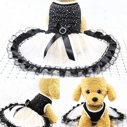 Cute Dress for pets - GlamzLife