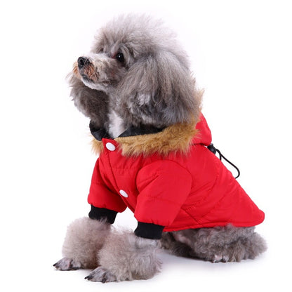 Winter puffer jackets for pets - GlamzLife