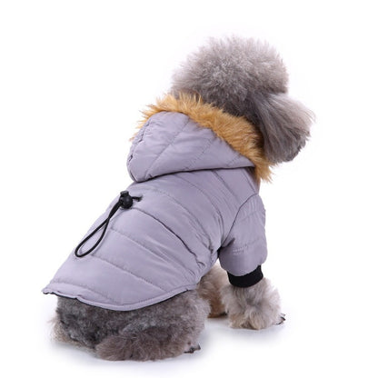 Winter puffer jackets for pets - GlamzLife