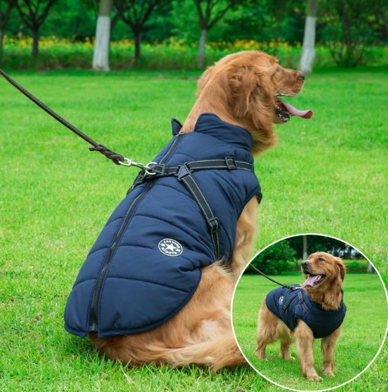 Dog Cotton Vest with Integrated Chest and Back Coverage for Winter. - GlamzLife