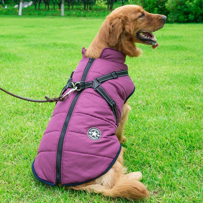 Dog Cotton Vest with Integrated Chest and Back Coverage for Winter. - GlamzLife