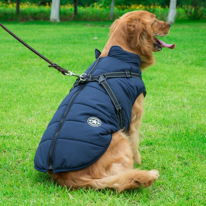 Dog Cotton Vest with Integrated Chest and Back Coverage for Winter. - GlamzLife