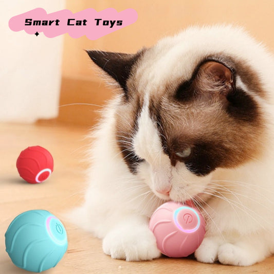 Automatic Bouncing Ball USB Self Hi Teasing Kittens Jumping Ball - GlamzLife