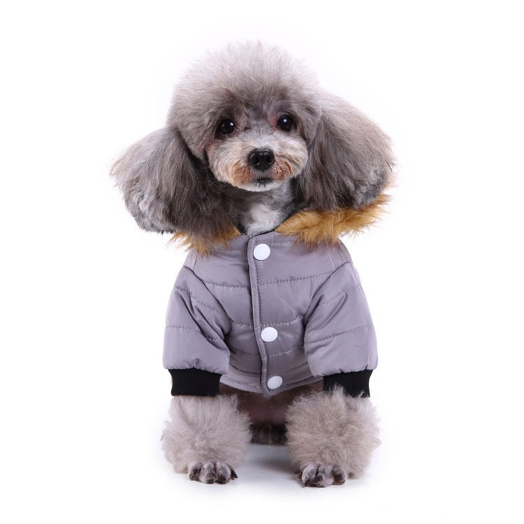 Winter puffer jackets for pets - GlamzLife