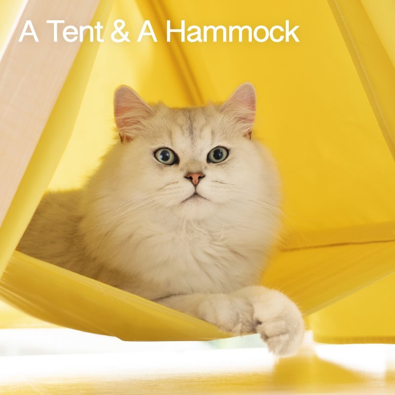 Pet Cat Tent - GlamzLife