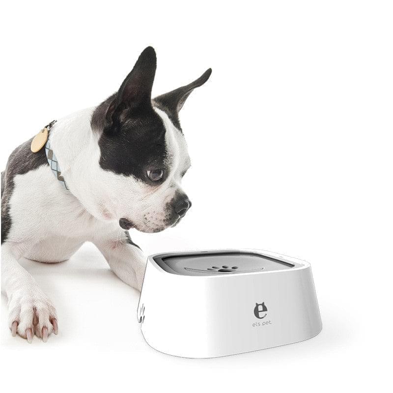 Anti-Overflow Water Feeder Dispenser For Pets | GlamzLife