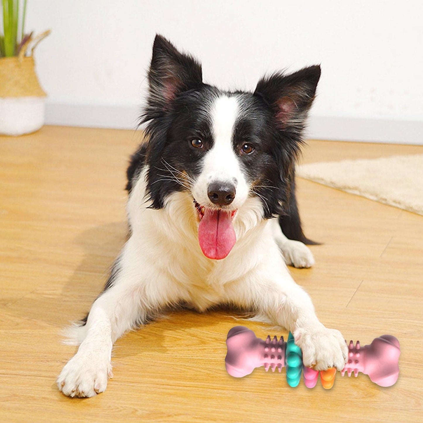 Dog Chew Bone Type Teeth Cleaning Toy GlamzLife