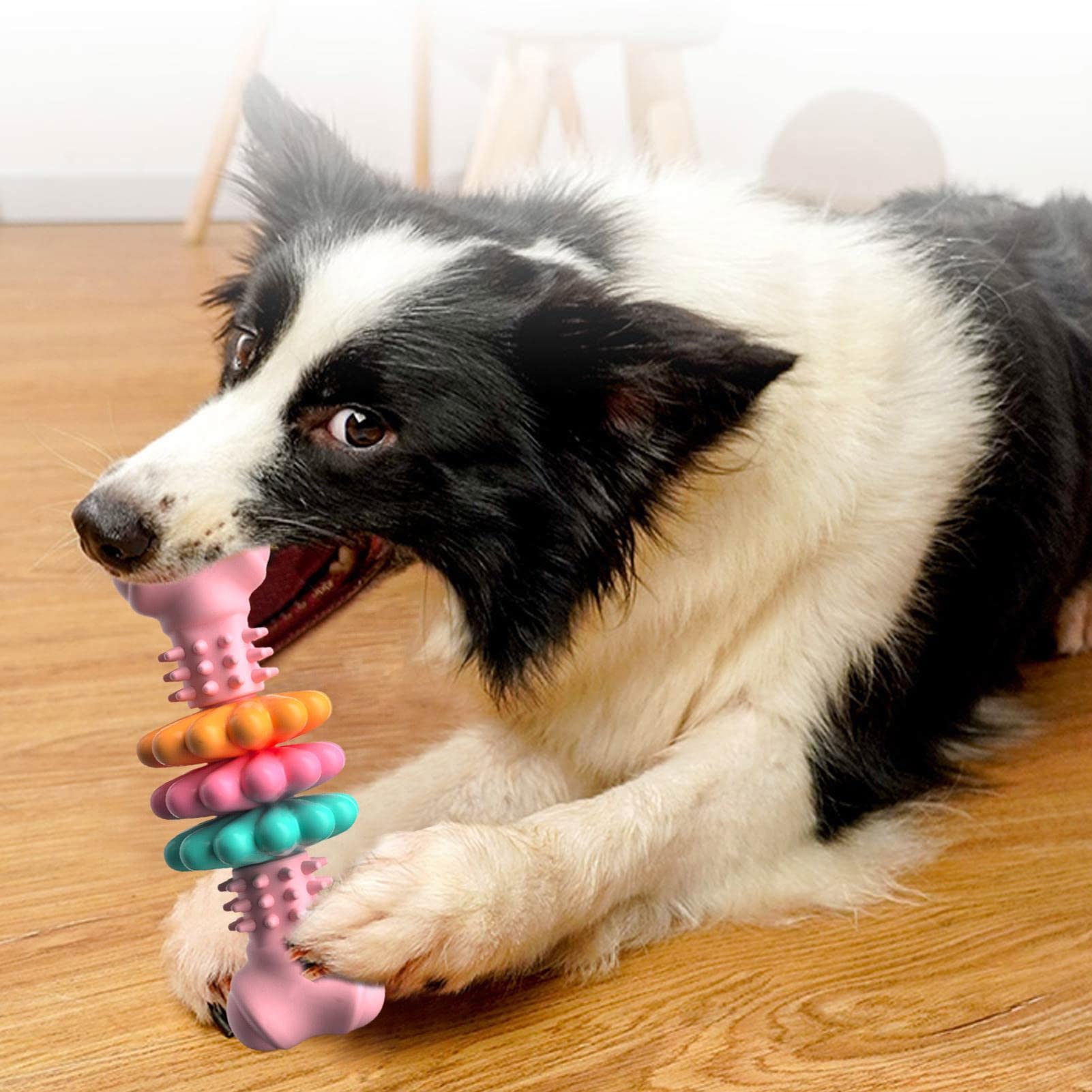 Dog Chew Bone Type Teeth Cleaning Toy GlamzLife
