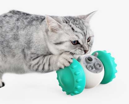 Multi-functional Smart Pet Toys | GlamzLife