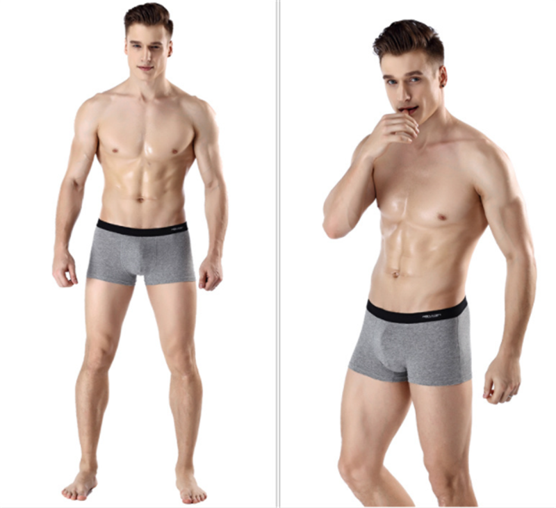 Printed Antarctic Men's Underwear GlamzLife