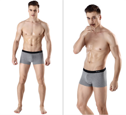 Printed Antarctic Men's Underwear | GlamzLife