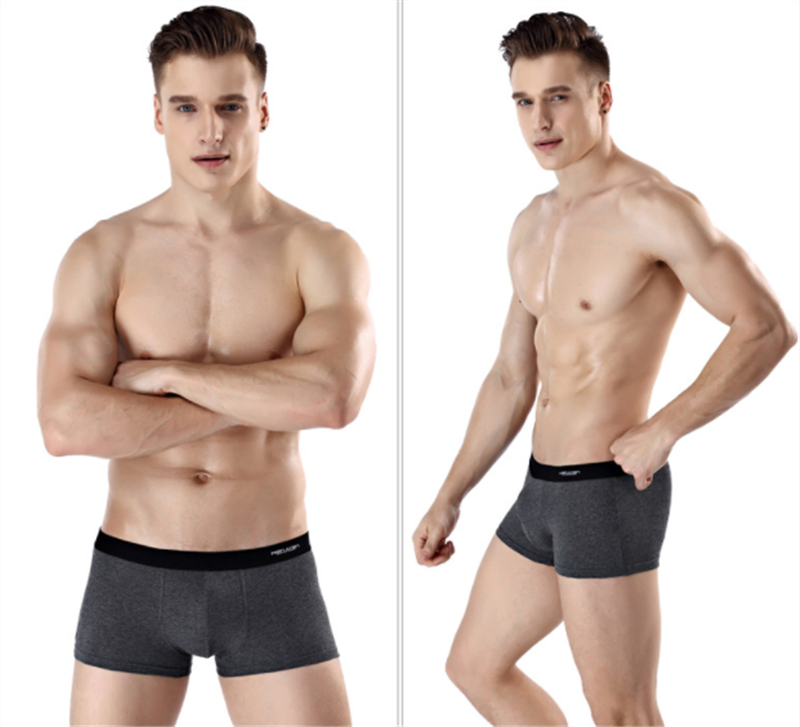Printed Antarctic Men's Underwear GlamzLife
