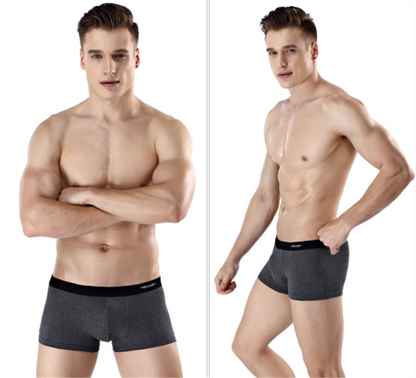 Printed Antarctic Men's Underwear | GlamzLife